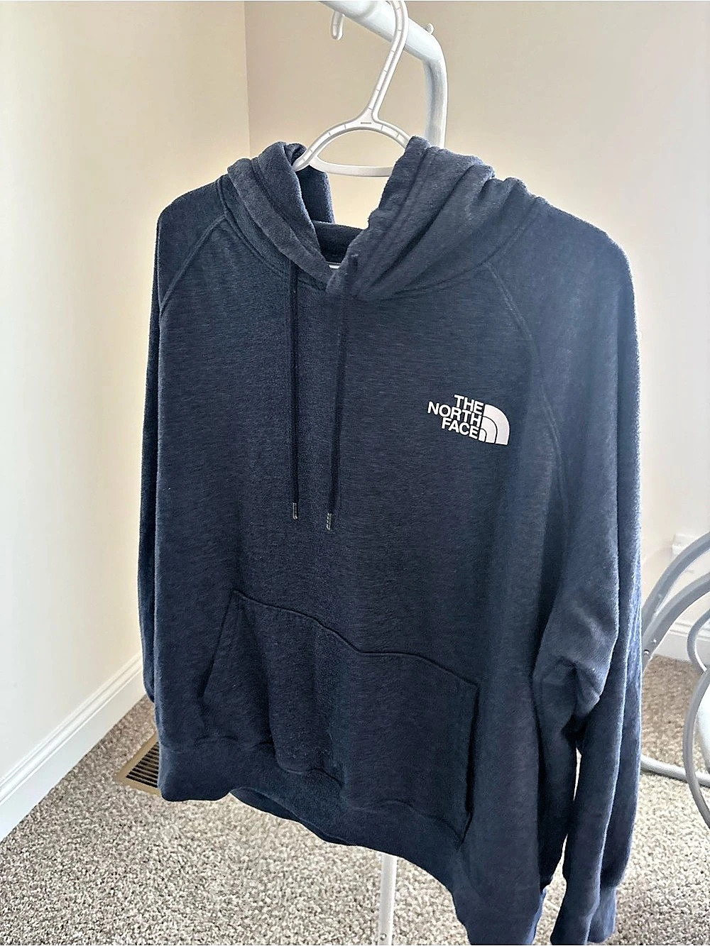 The North Face Logo Hoodie in Blue